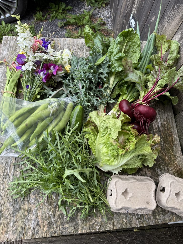 Organic Veg Box