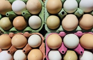 Organic Eggs